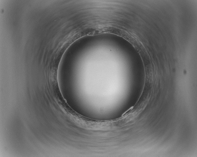 X0000067940044200604201417