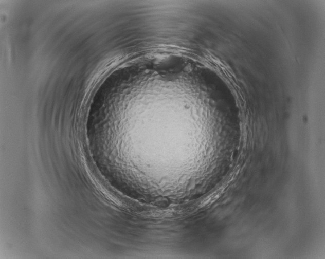X0000067940049200604201416
