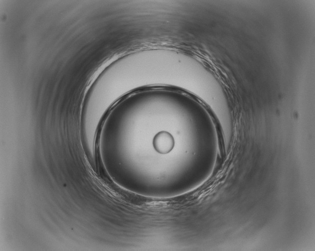 X0000067940052200604201416