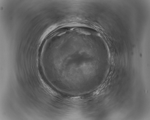 X0000067940054200604201416