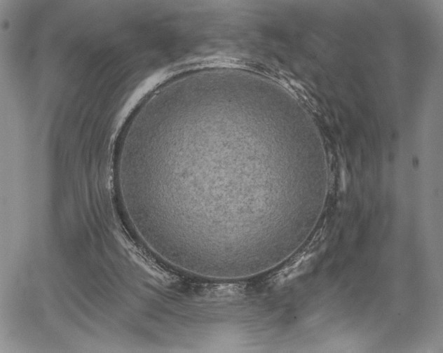 X0000067940056200604201416