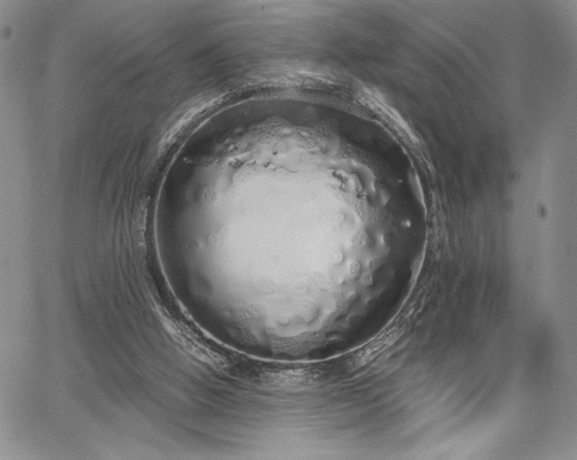 X0000067940058200604201416