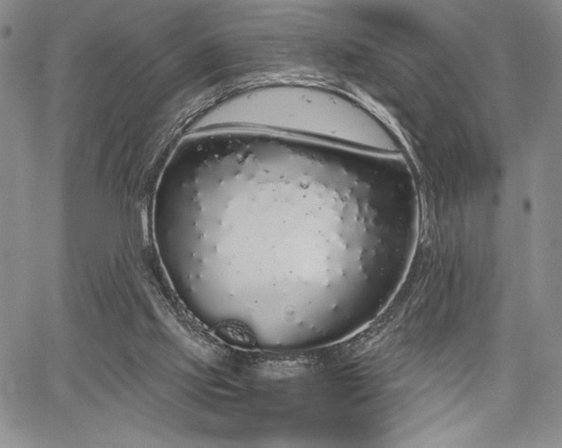 X0000067940061200604201416