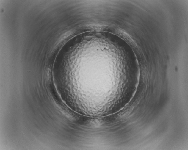 X0000067940071200604201416
