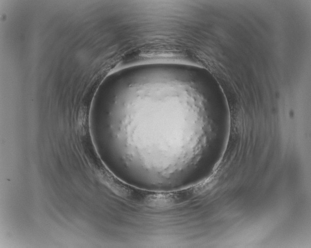 X0000067940082200604201416