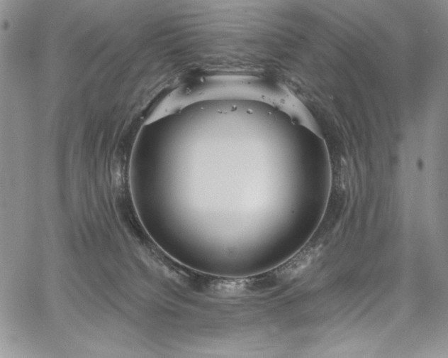 X0000067940084200604201416