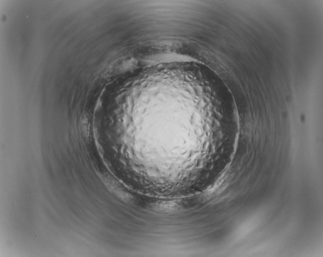 X0000067940086200604201416