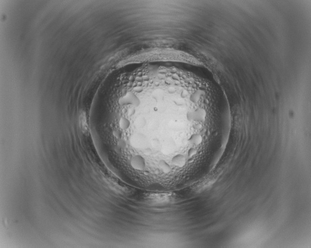 X0000067940089200604201416