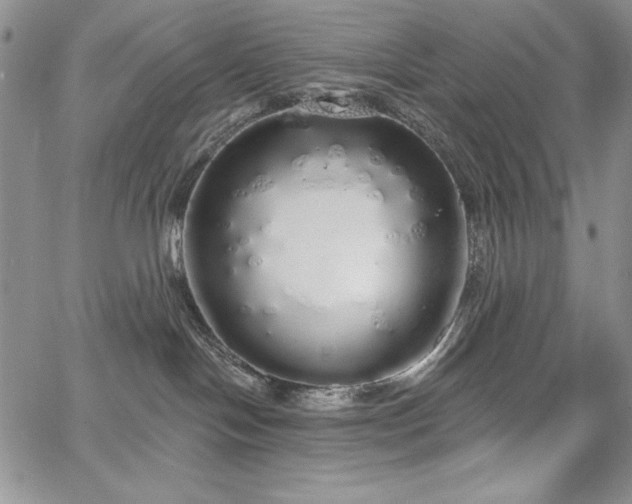 X0000067940094200604201416