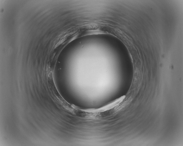X0000067940096200604201417