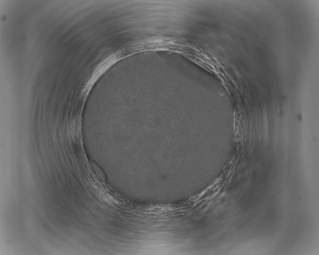 X0000067940099200604201416