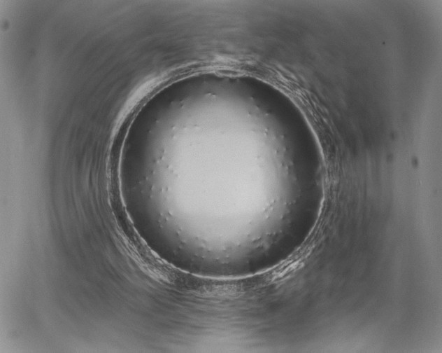X0000067940102200604201416