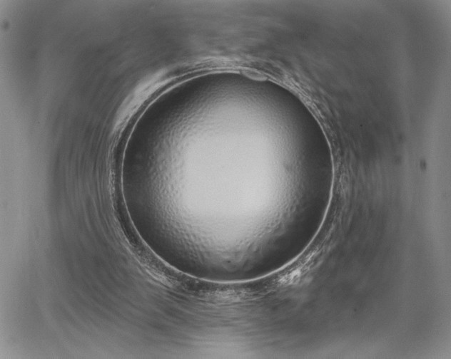 X0000067940103200604201416