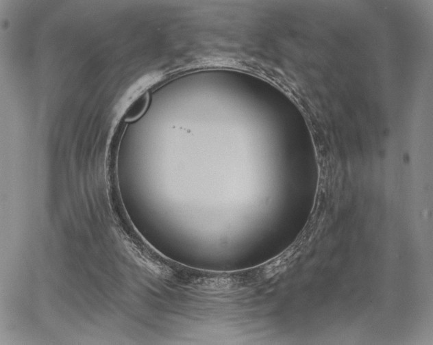 X0000067940104200604201416