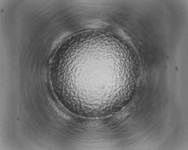 X0000067940106200604201416