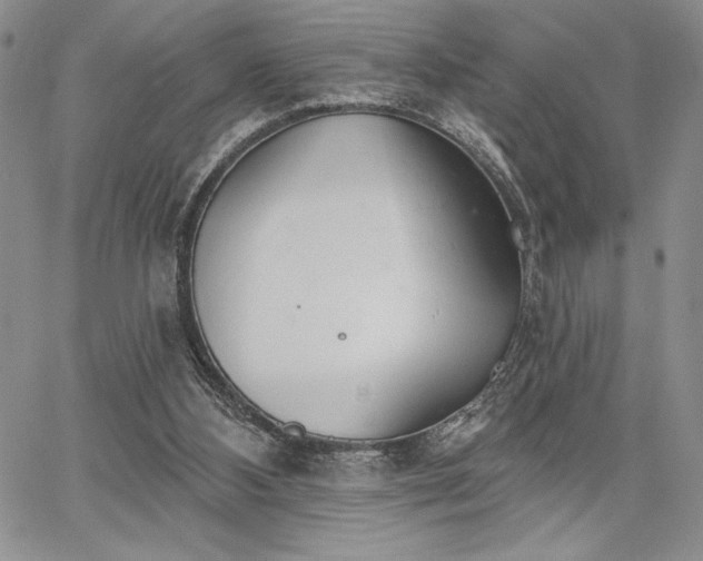X0000067940108200604201416