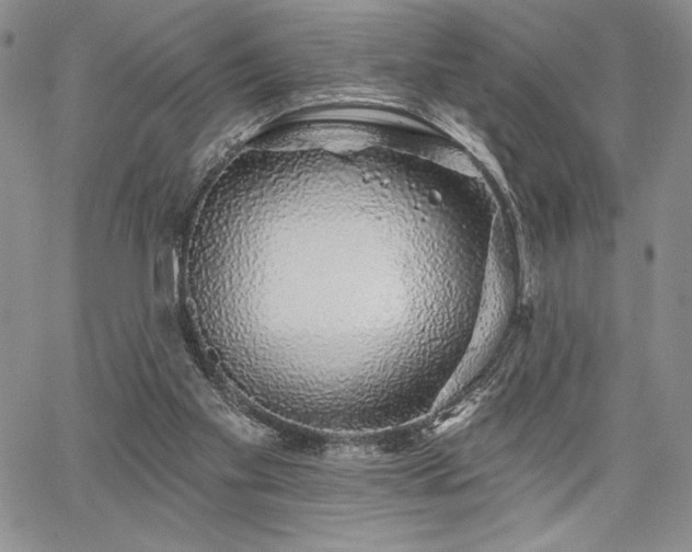 X0000067940109200604201416
