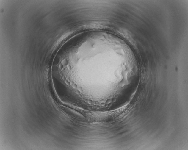 X0000067940111200604201416