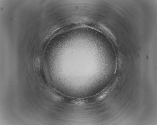 X0000067940113200604201415