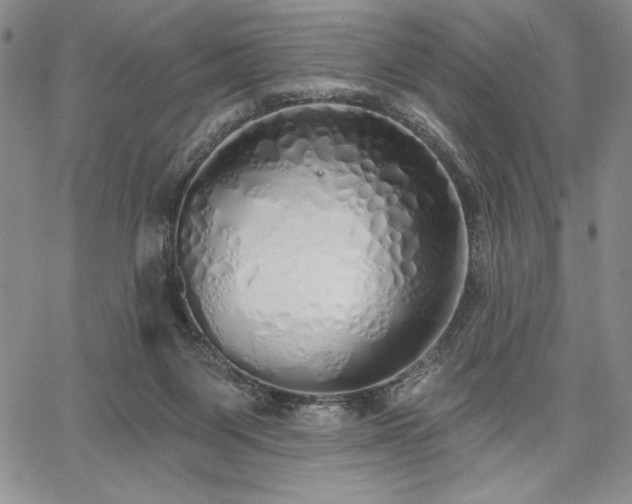 X0000067940119200604201415