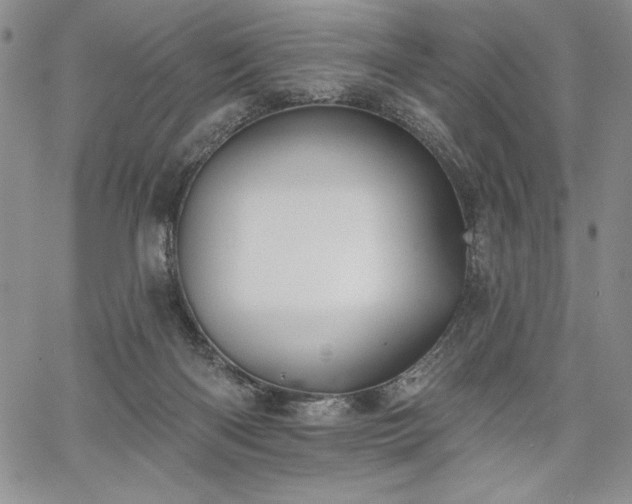 X0000067940122200604201415