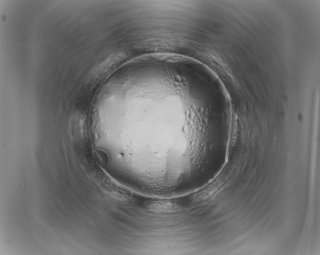 X0000067940123200604201415