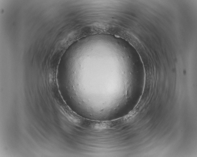X0000067940134200604201415