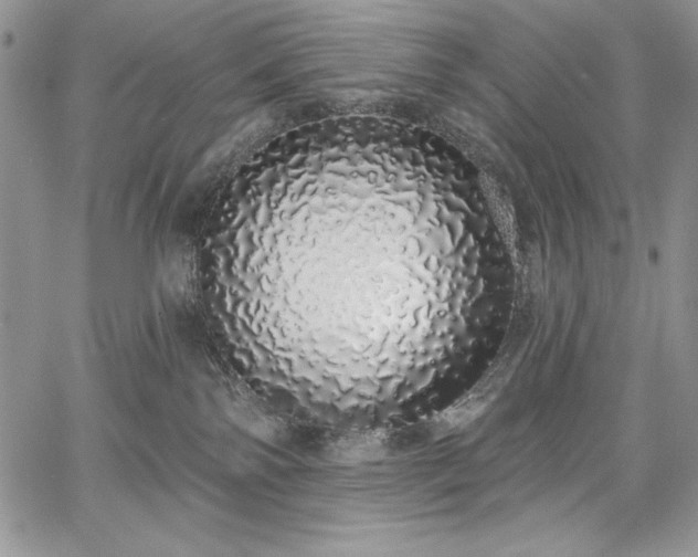 X0000067940138200604201415
