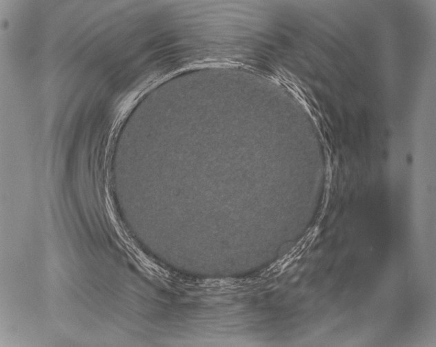 X0000067940145200604201414