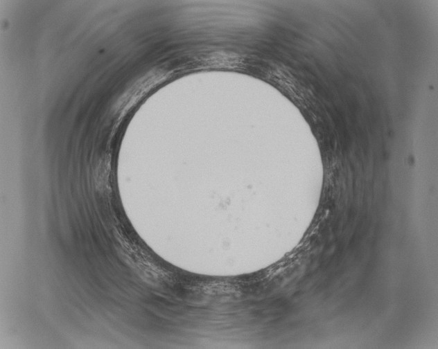 X0000067940146200604201414