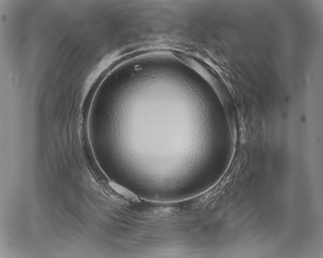 X0000067940152200604201414