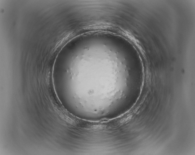 X0000067940153200604201414