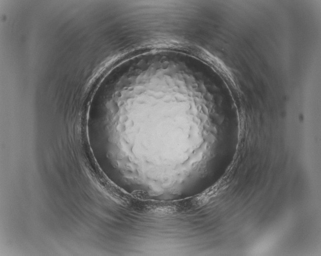 X0000067940155200604201414