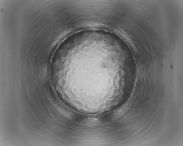 X0000067940159200604201414
