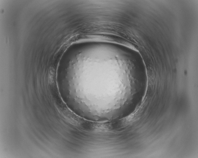 X0000067940175200604201415