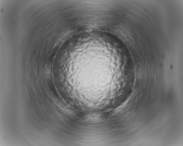 X0000067940179200604201415