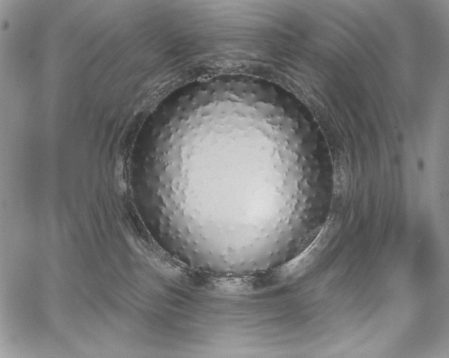 X0000067940187200604201415