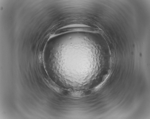 X0000067940191200604201415