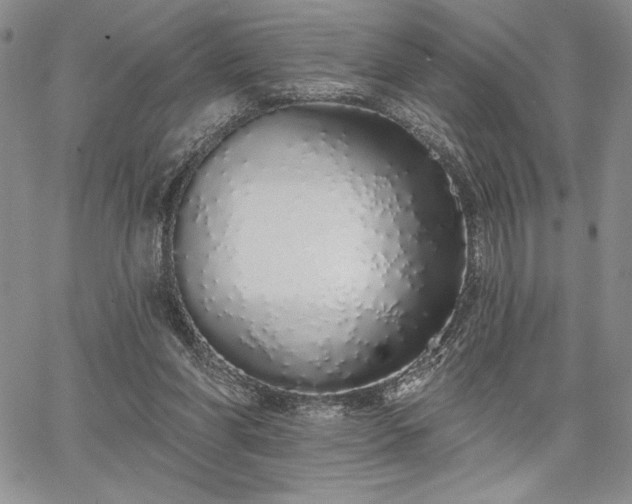 X0000067940206200604201414
