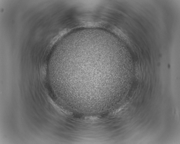 X0000067940208200604201414