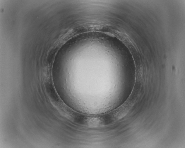 X0000067940218200604201414