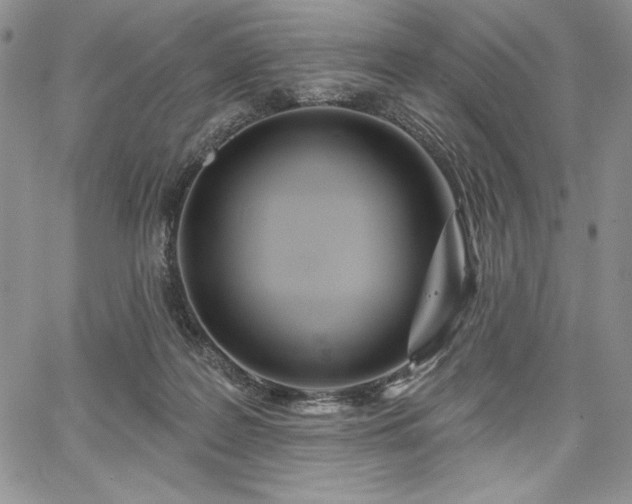 X0000067940219200604201414