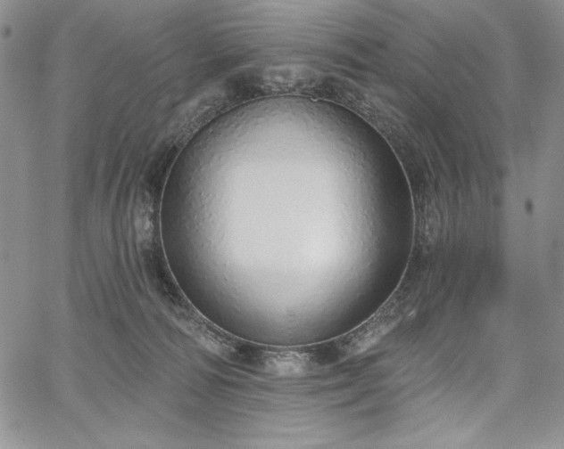 X0000067940226200604201414