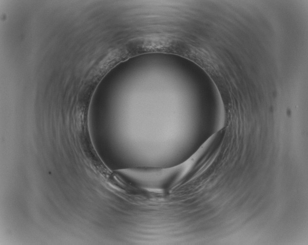 X0000067940227200604201414