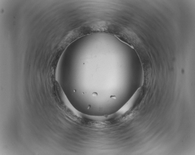 X0000067940229200604201414