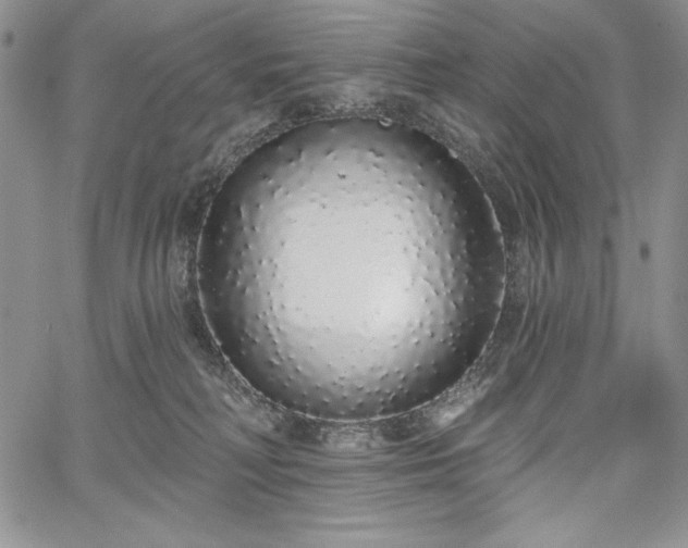 X0000067940230200604201414