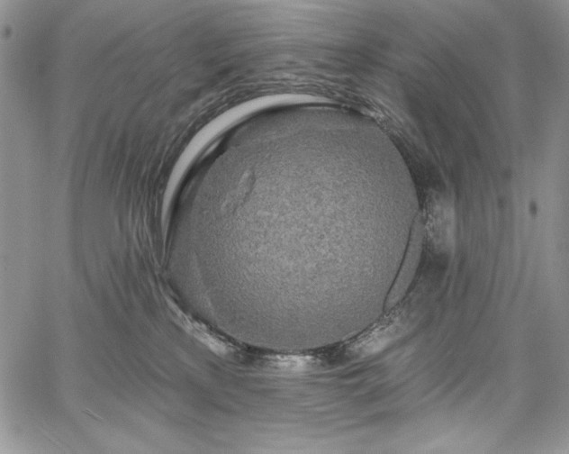 X0000067940233200604201413