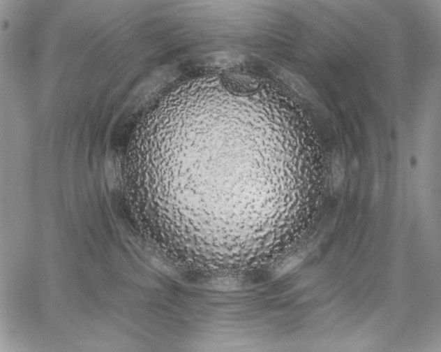 X0000067940236200604201413