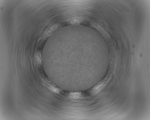 X0000067940240200604201413