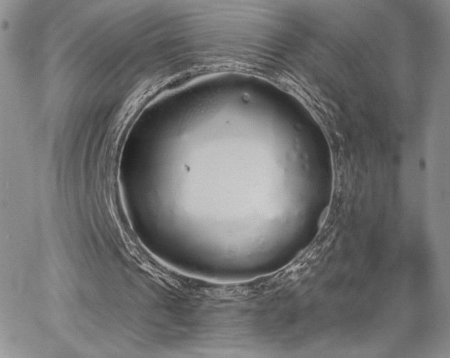 X0000067940241200604201413